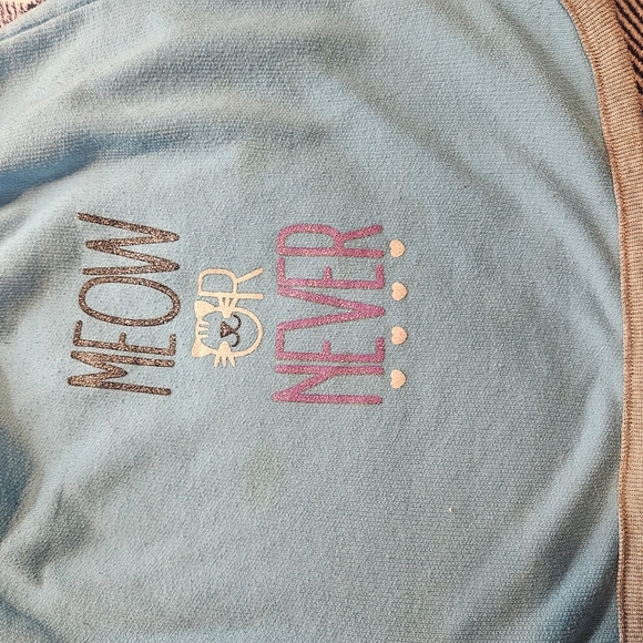 Cute Blue 'Meow or Never' Shorts - Picture 2 of 10